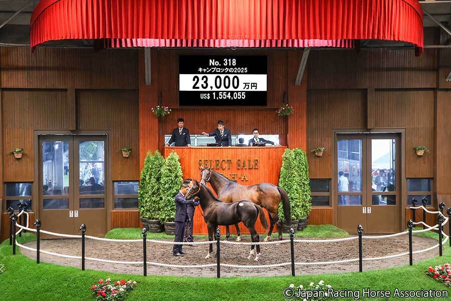 いきなり2億3000万円！世界最強馬イクイノックスの産駒 セレクト