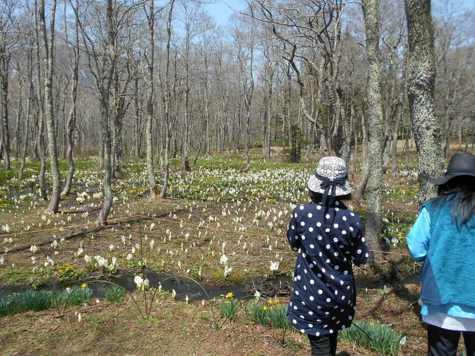 [写真]カメラを向ける人たち。4月29日撮影（白樺荘）