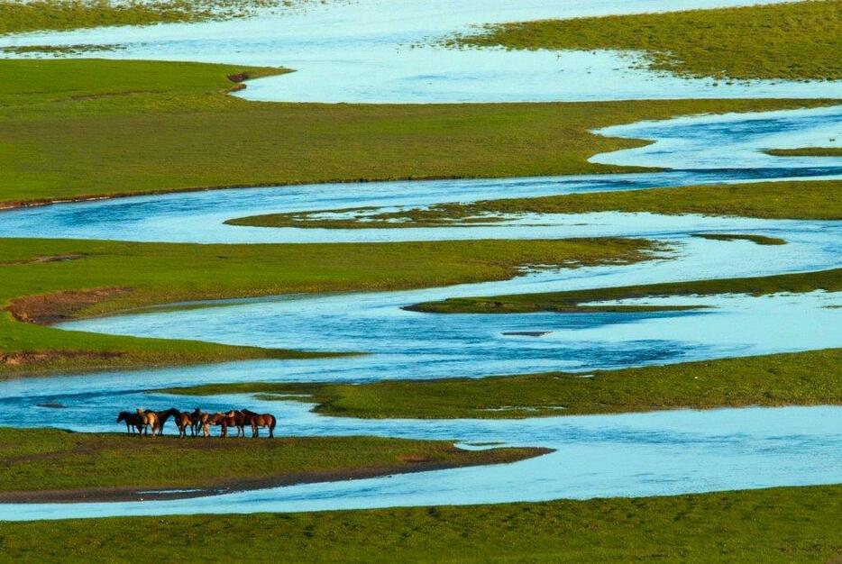 のんびりと川辺で休む馬群。昔からナリン・ゴル河畔は代々の遊牧民が夏営地として使ってきた＝シリンゴル盟・ジューグンウジュムチン・ホショー（2011年7月撮影）