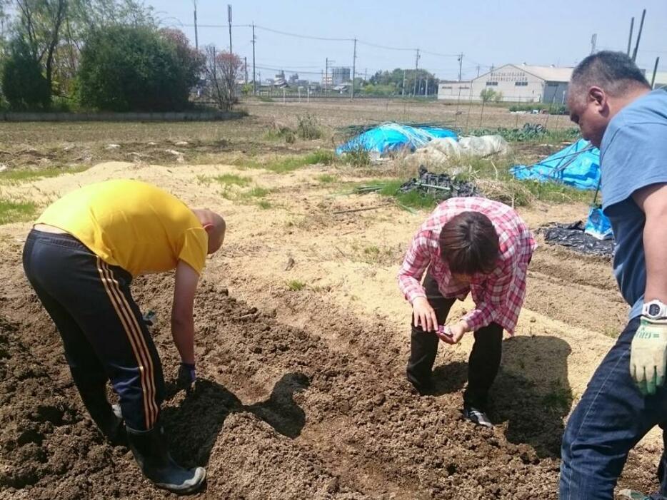 畑で農作業をする利用者たち（愛知県稲沢市で、NPO法人「ライフステーション・あいち」提供）