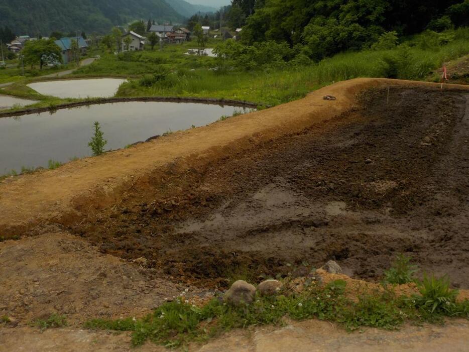 [写真]水が抜けた水田。向こうの水田は水を満たしている（29日・栄村平滝地区）