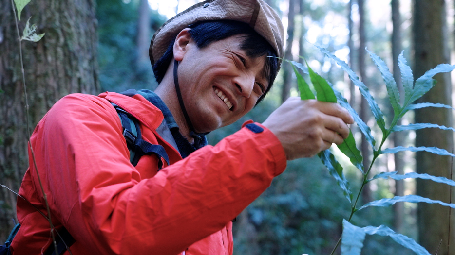 九州の森に入り、シダ植物の現地調査をする海老原淳さん（撮影：内田英恵）