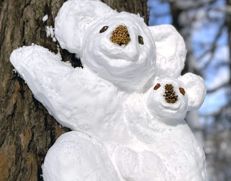 雪でできたコアラの親子＝札幌市の円山公園（田中宏美さん提供）