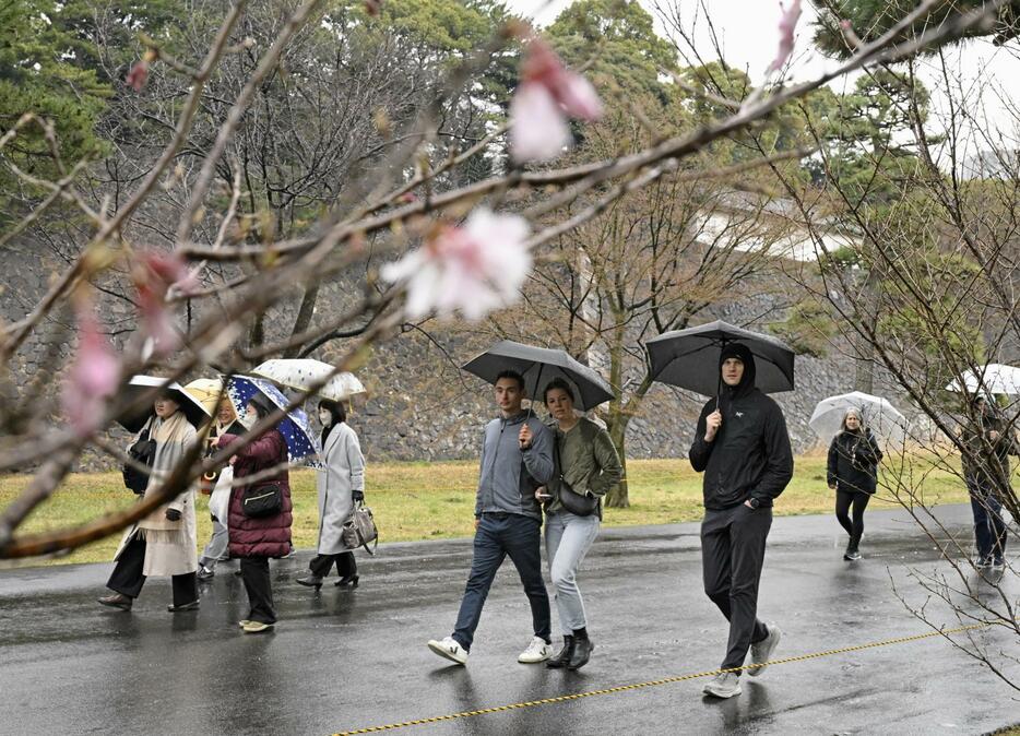 一般公開が始まった皇居・乾通りで散策を楽しむ人たち＝23日午前