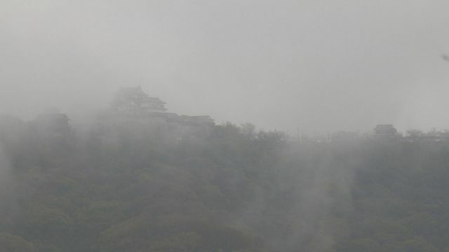 松山城も霧に覆われる(24日 午前11時半頃)