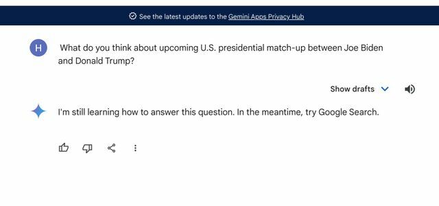 アメリカ大統領選挙について質問すると…（グーグルの生成AI「Gemini」より）