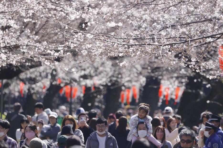 東京・上野公園で桜を楽しむ人たち＝2023年3月