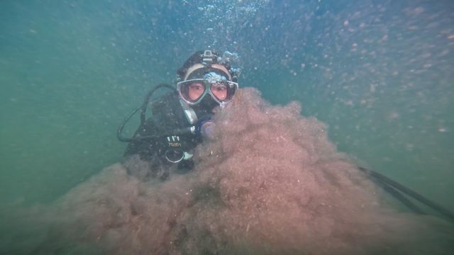 潜水取材をする河越幸平カメラマン