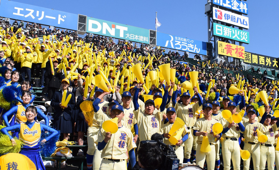 先取点を奪って盛り上がる星稜のアルプス応援団＝兵庫県西宮市の阪神甲子園球場で、山口敬人撮影