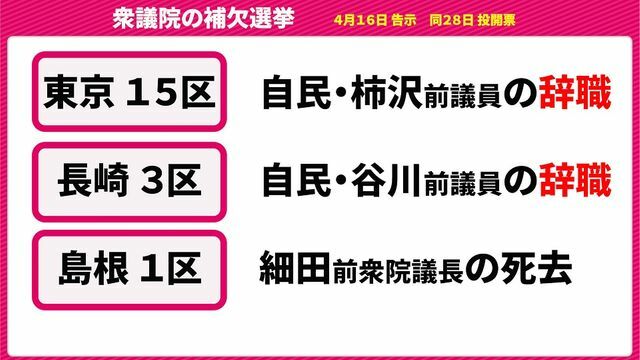 4月に行われる衆議院選挙の補欠選挙