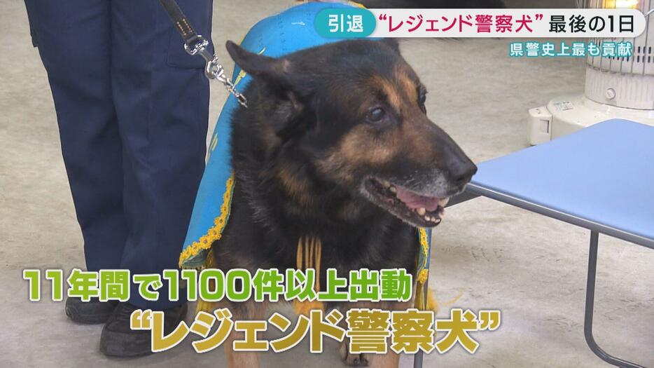 捜査などで貢献　“レジェンド警察犬”最後の１日　広島