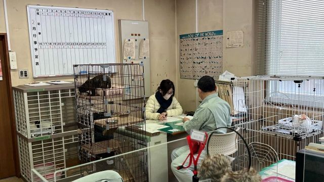 石川県南部小動物管理指導センターの様子　事務所にもケージが増えている状況