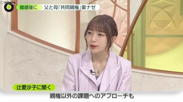 辻さん「親権以外のアプローチも」