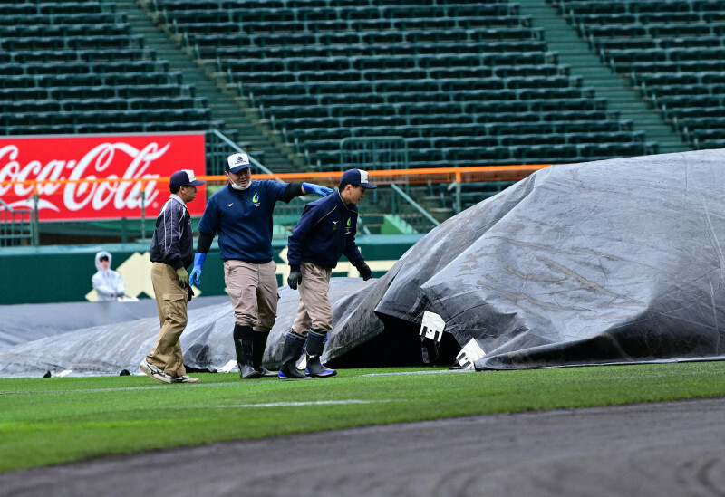 試合開始の準備をする阪神園芸のスタッフ＝阪神甲子園球場で2024年3月26日、北山夏帆撮影