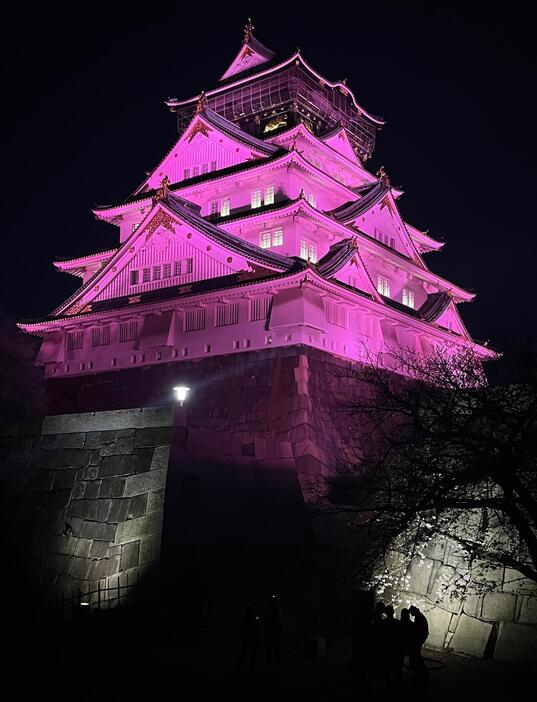 ［写真］桜色にライトアップされた大阪城天守閣＝30日午後7時ごろ、大阪市中央区で