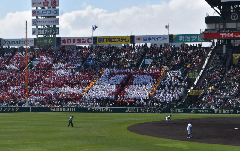 白地にえんじの「T」が浮かび上がった耐久高校の一塁側アルプス席＝阪神甲子園球場で2024年3月20日午後2時17分、中田博維撮影