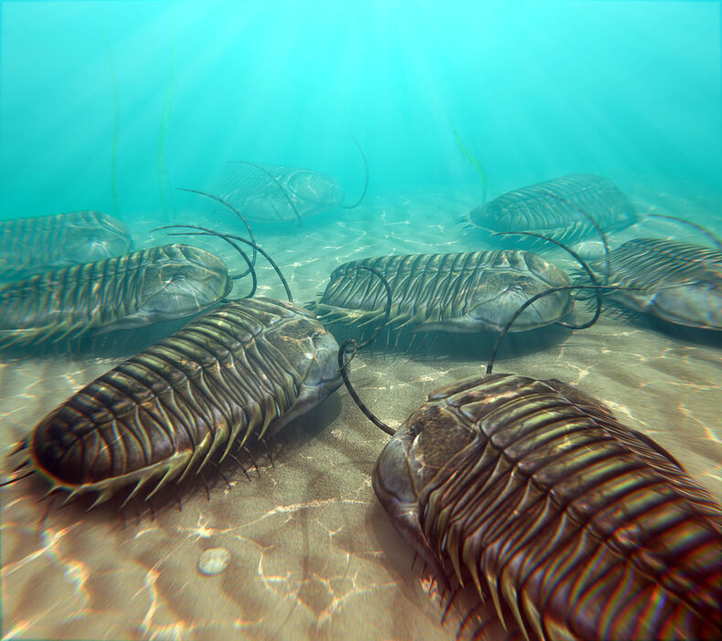 古生代全般を通して大繁栄を遂げた三葉虫は、ペルム紀末までに全ての種が絶滅した（イメージ：アフロ）