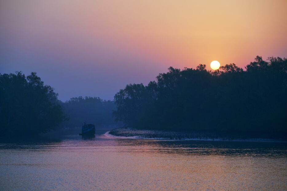 ガンジス川など大小の川が流れ込む湿地帯のシュンドルボンは世界最大のマングローブの原生林。世界自然遺産に登録されている。その広大さ故に、大河を下るツアー船だけではその神秘的な森を知ることが出来ない＝シュンドルボンにて（2019年4月撮影）