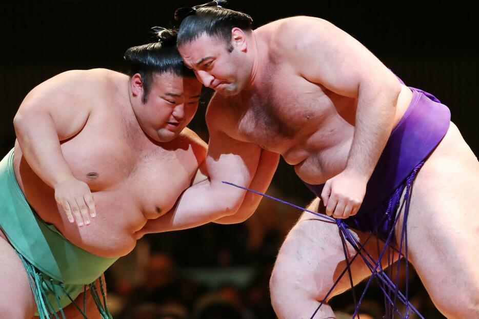 トランプ大統領は大相撲千秋楽を観戦する予定だ。写真は2019年4月の大相撲川崎場所（写真：長田洋平/アフロスポーツ）