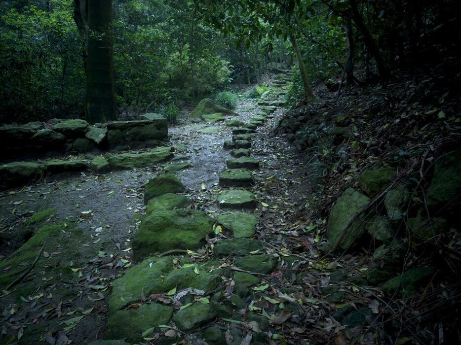 古代祭祀の行われていた聖域へと続く苔むした石畳の道。写真／藤原新也