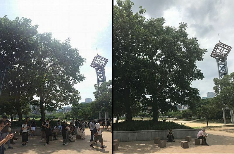 [写真]昨年の7月27日（左）と27日午後に撮影した扇町公園。人の数が全然違う=大阪市北区で