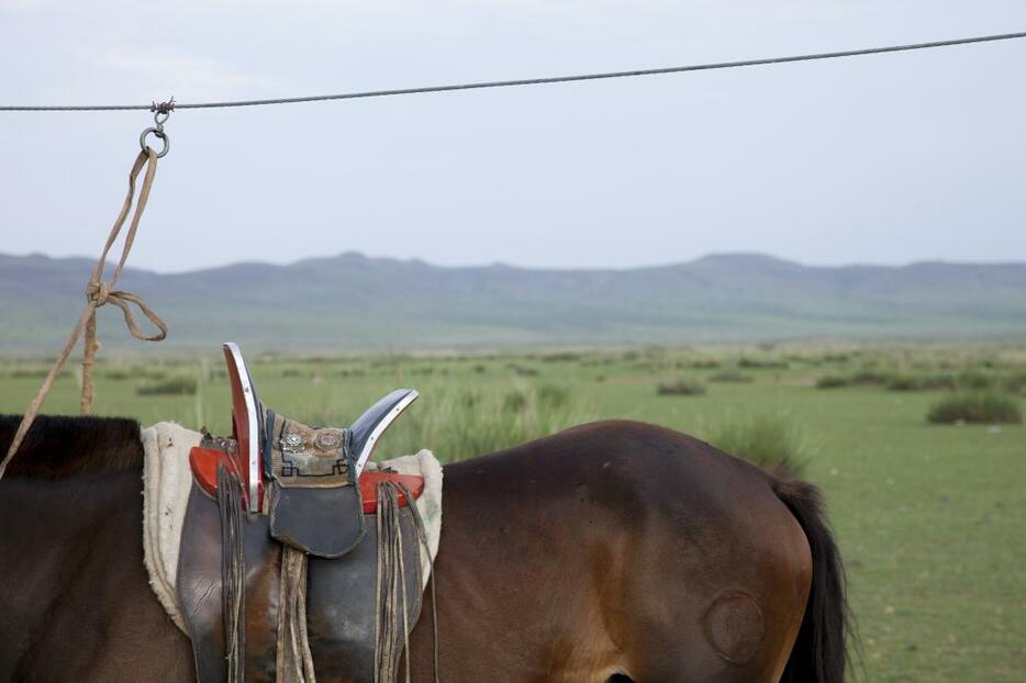 モンゴル族の馬のくらは木製。バインチャガン（撮影：村田次郎）