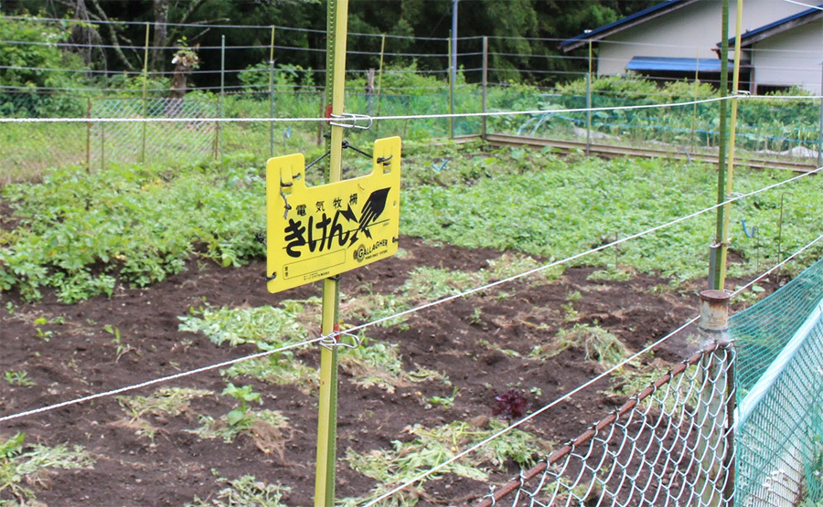 獣害対策を望む声も大きい。サルが群れを作ってジャガイモを食べてしまう。