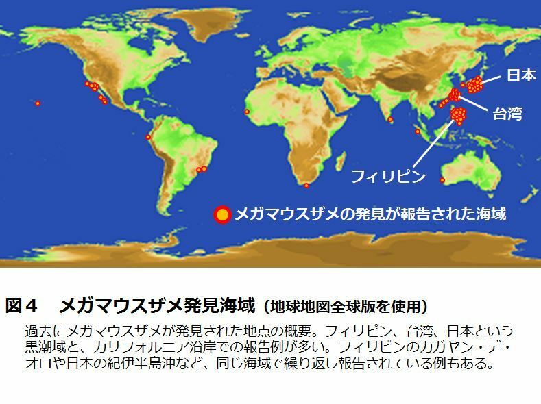 [図4]メガマウスザメ発見海域（国土地理院 地球地図全球版を使用）。過去にメガマウスザメが発見された地点の概要。フィリピン、台湾、日本という黒潮域と、カリフォルニア沿岸での報告例が多い。フィリピンのカガヤン・デ・オロや日本の紀伊半島沖など、同じ海域で繰り返し報告されている例もある