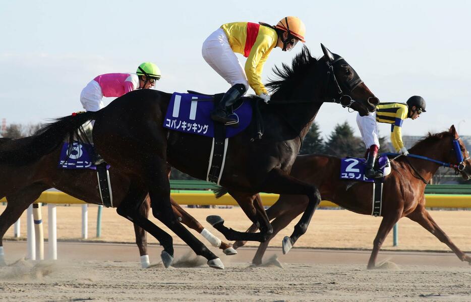 女性騎手のG1初挑戦となった菜七子のコパノキッキングは5着（写真・日刊スポーツ／アフロ）