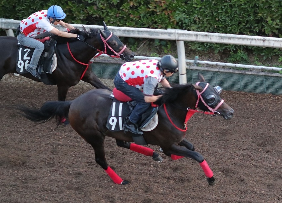 ひと夏を越しての成長度も高いフローラS2着馬ラヴァンダ