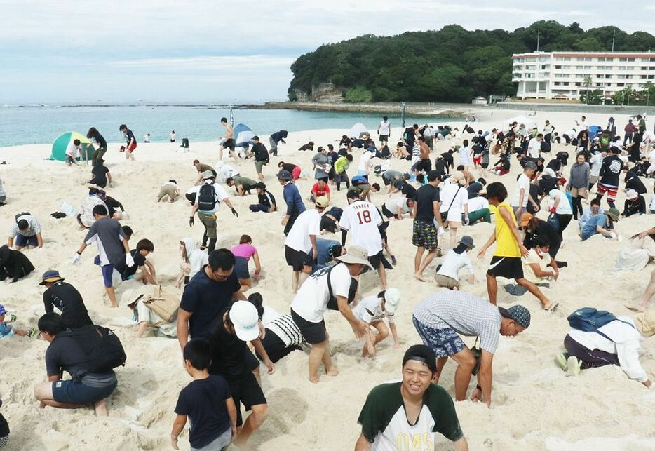 砂の中に埋まった「お宝」を探す参加者（２８日、和歌山県白浜町で）