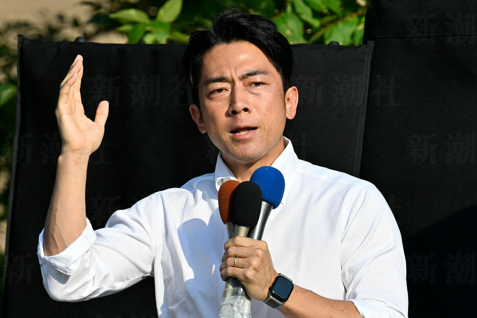 小泉進次郎元環境相