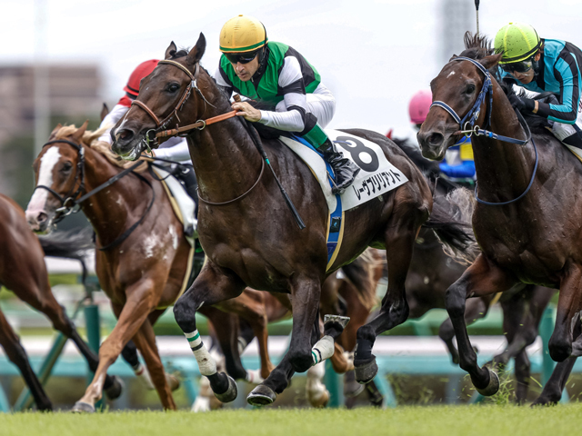 中山5R新馬戦を制したレーヴブリリアント(撮影：下野雄規)