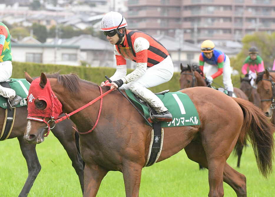 直近の４戦で重賞を３勝しているウインマーベル　photo by Sankei Visual