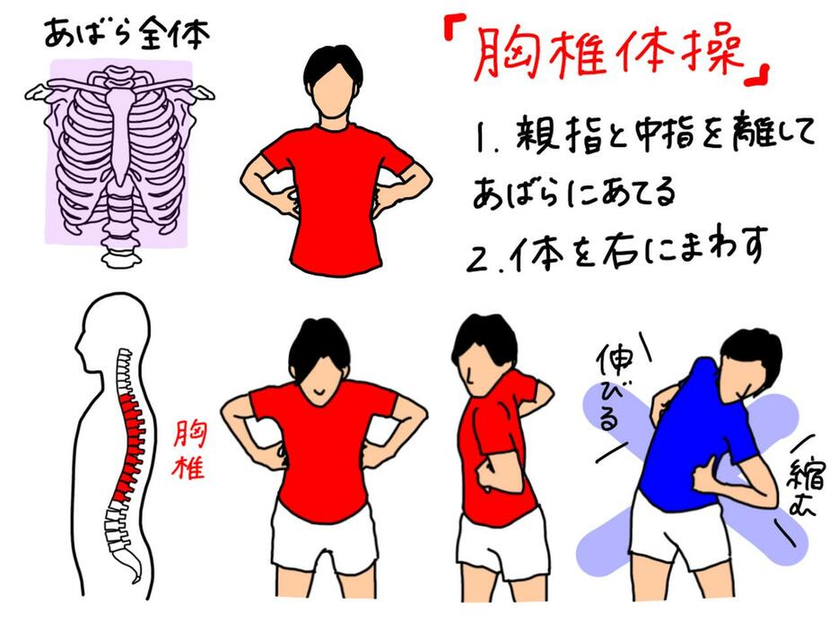 イラスト2：両手の親指と中指を離した状態であばらにあてがい、前傾姿勢を作って体を右に回してみよう。リバースピボットになる傾向があるゴルファーは、左サイドが縮み、右サイドが伸びる感覚があてがった指からわかる