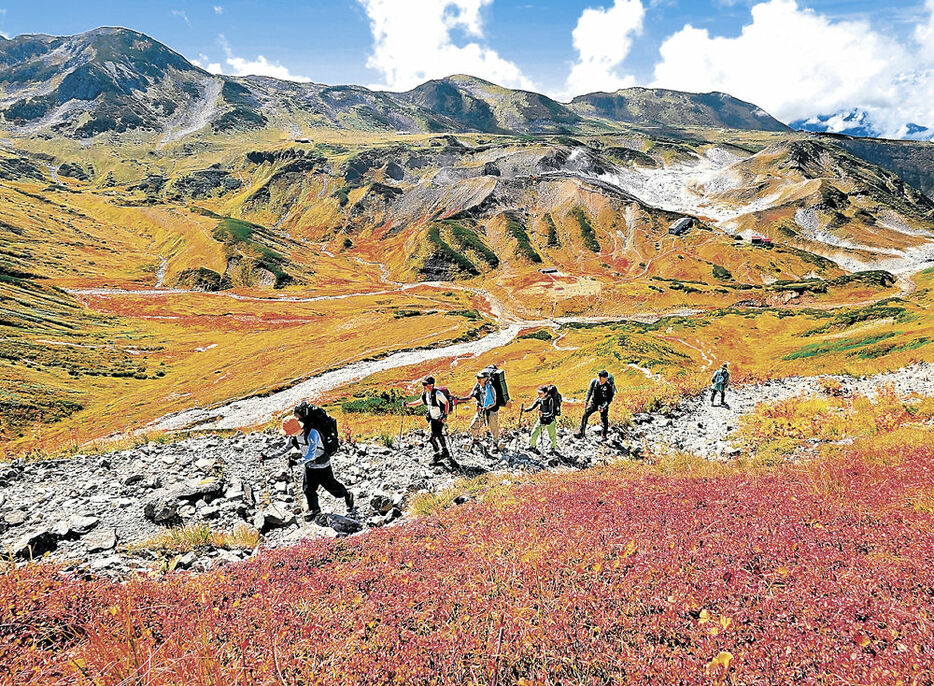 赤や黄色に染まった紅葉を楽しみながら歩く登山客＝立山・雷鳥沢