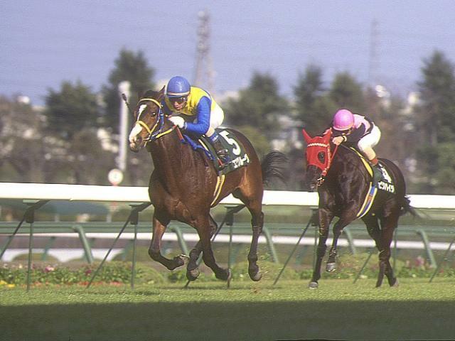 繁殖牝馬としても大活躍したトニービン産駒エアグルーヴ(写真は96年チューリップ賞、撮影：高橋正和)