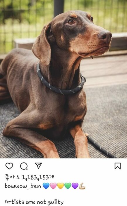 BTSジョングクの愛犬Instagramキャプチャー(c)NEWSIS