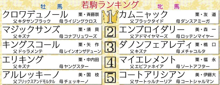 　若駒格付けランキング表