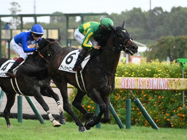 2番人気サトノシャイニングが勝利(c)netkeiba