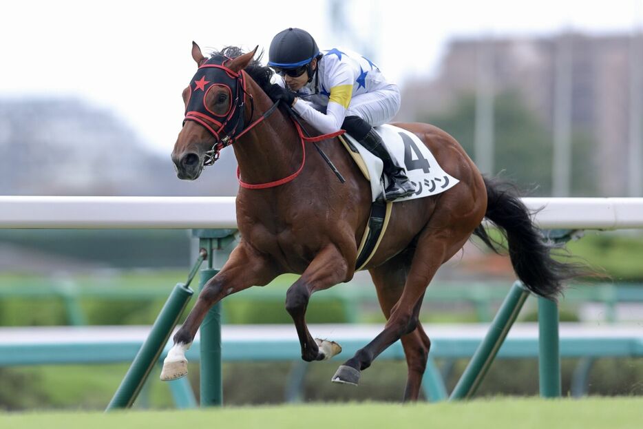 中山3R・カンシンと坂井瑠星騎手