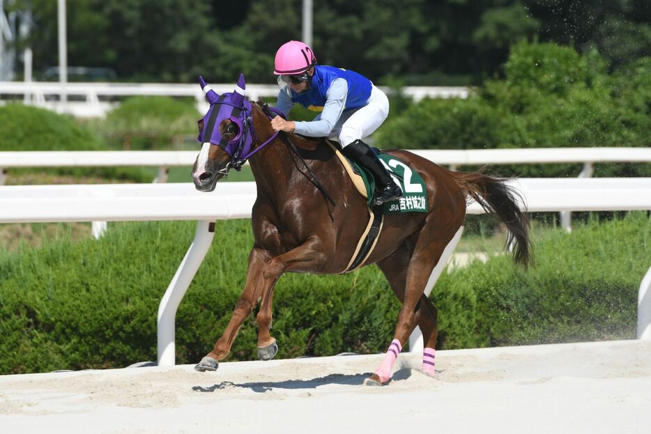 ヤングジョッキーズTR園田第1戦・キャンアイシングと吉村誠之助騎手 (C)NAR地方競馬全国協会