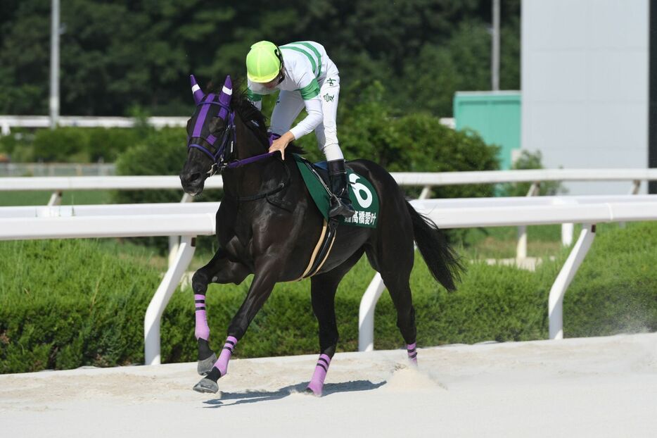 ヤングジョッキーズTR園田第2戦・タンバッフェと高橋愛叶騎手 (C)NAR地方競馬全国協会