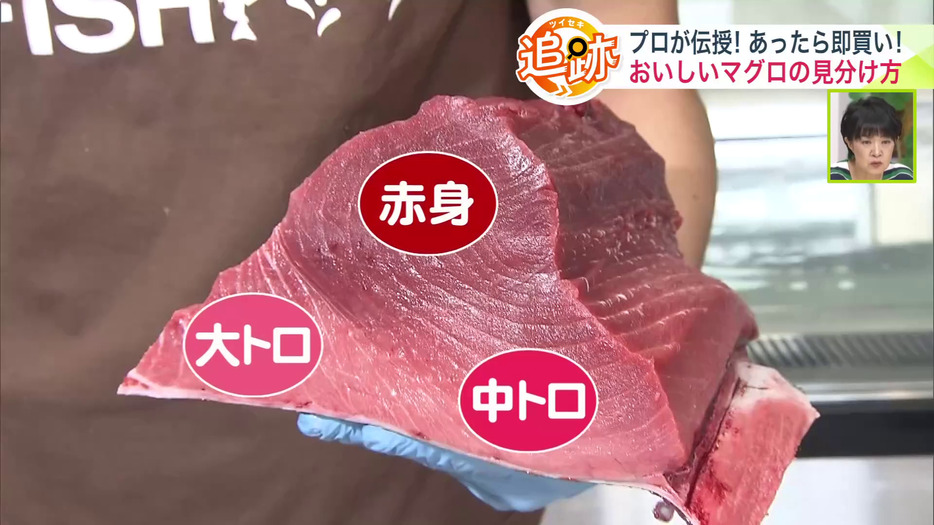 おいしいマグロの見分け方