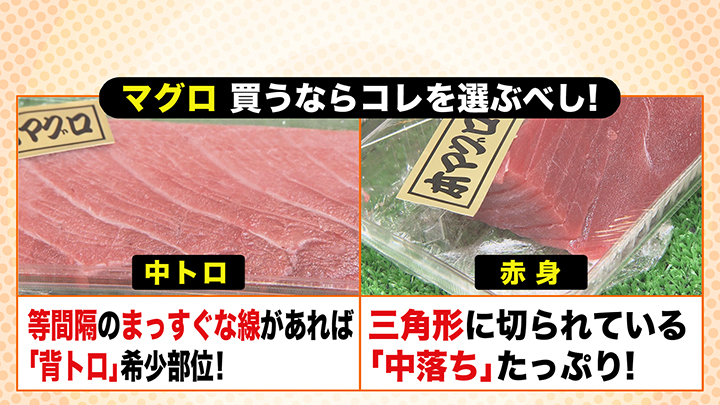 おいしいマグロの見分け方