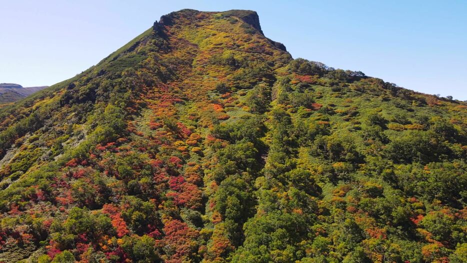 紅葉が見ごろの黒岳8合目付近