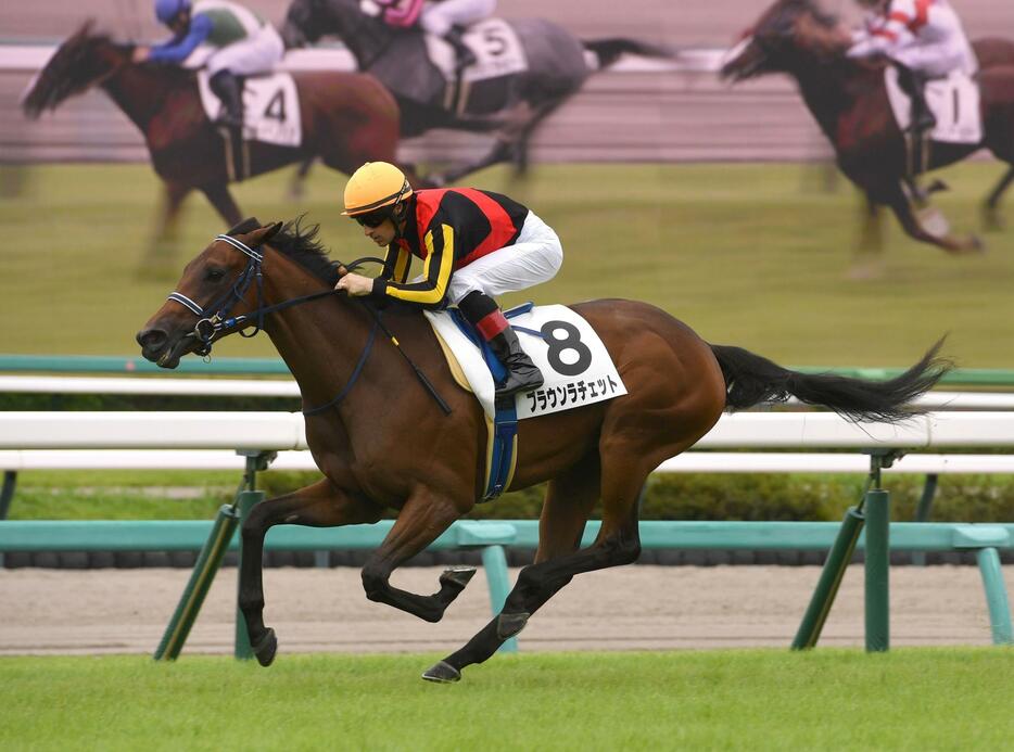 　新馬戦を制したブラウンラチェット（撮影・佐々木彰尚）