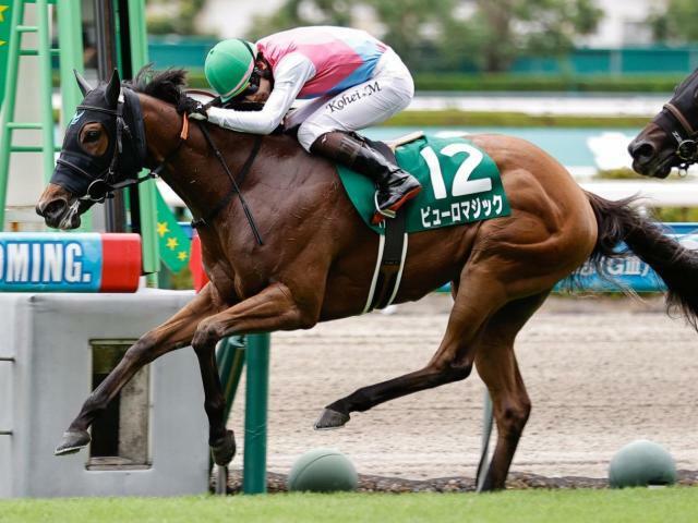 重賞3連勝を狙うピューロマジック(今年6月撮影、ユーザー提供：でめきんさん)