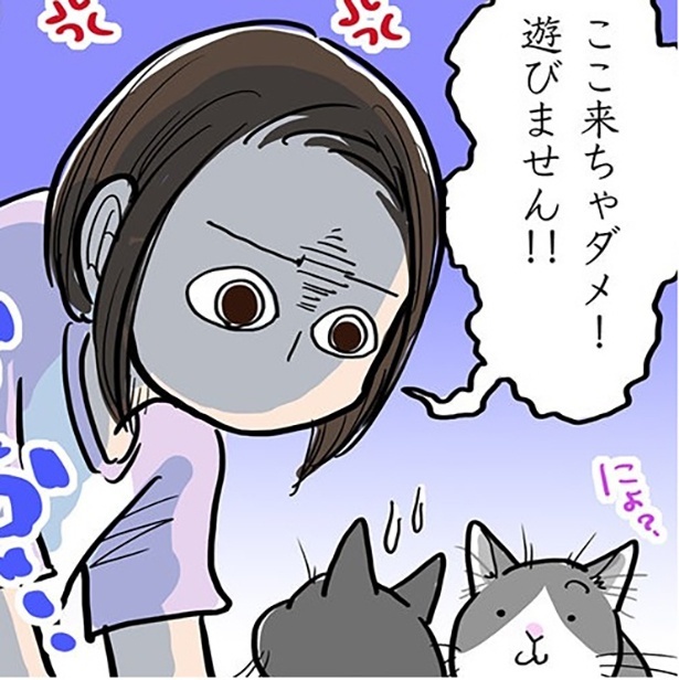 「ここ来ちゃダメ！」お説教は猫に通じる…!?