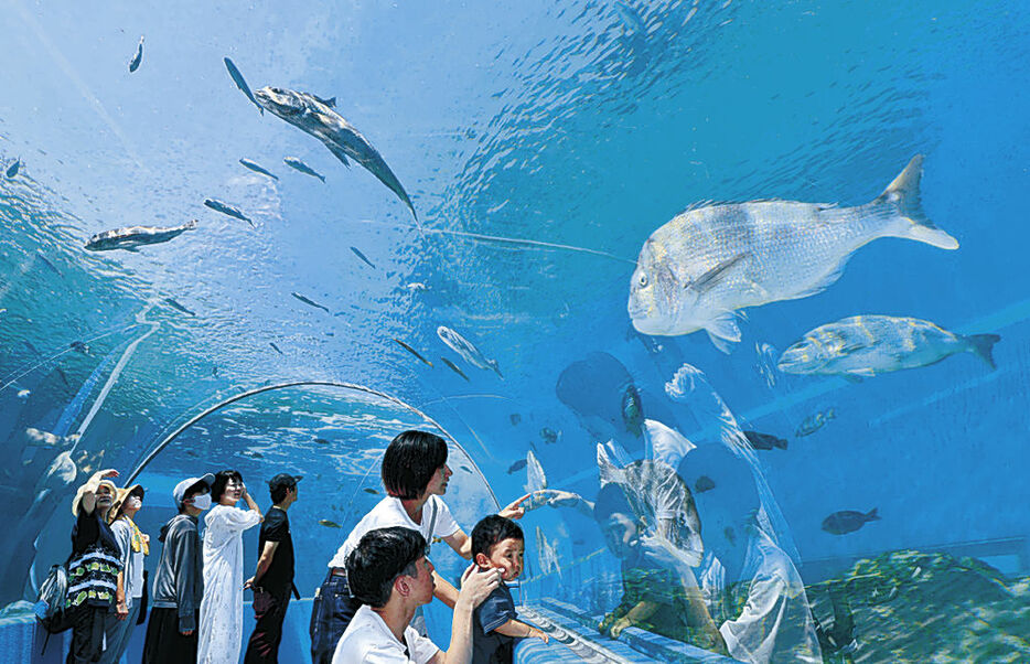 再開した「のとじま臨海公園水族館」＝七尾市能登島